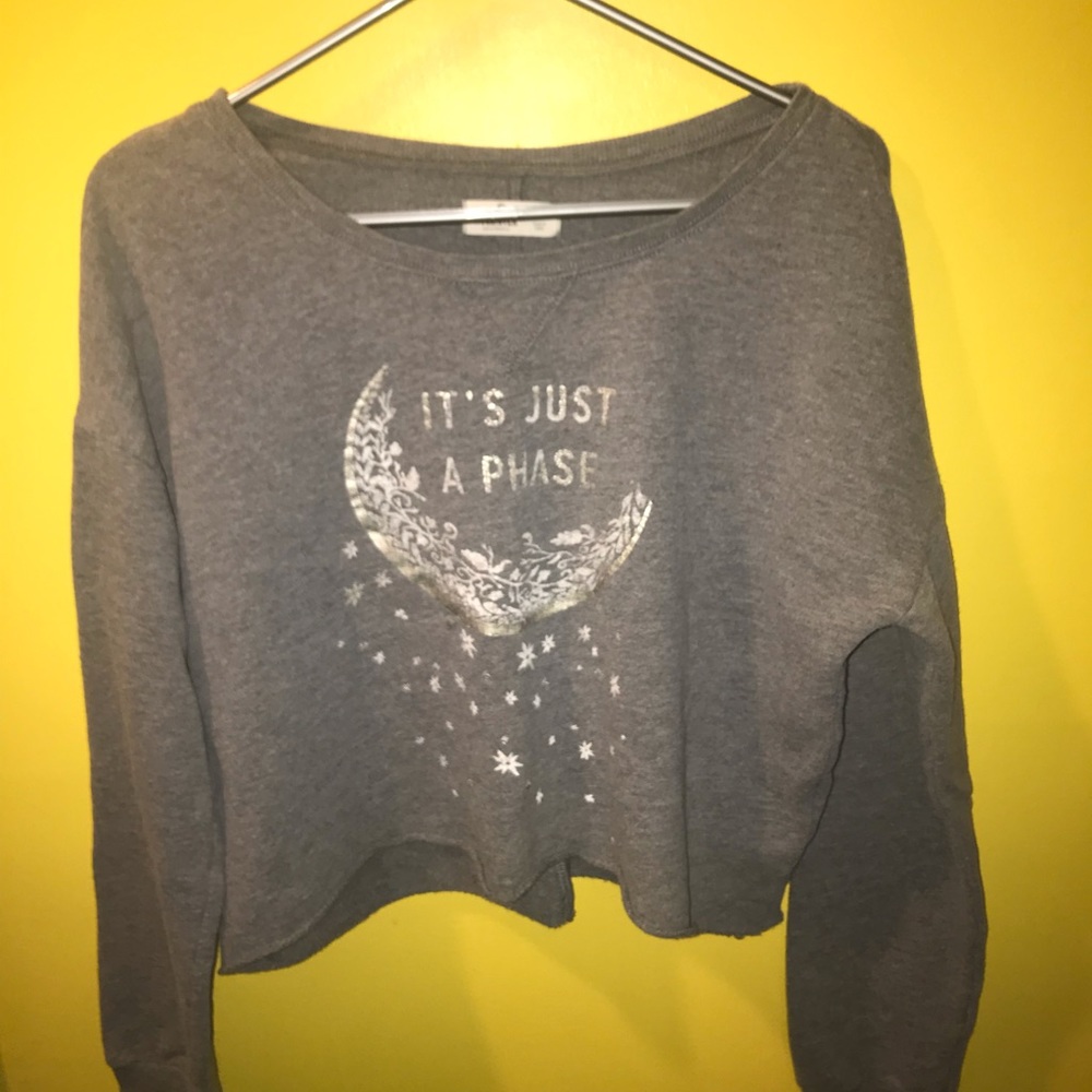 Gray Cropped Moon Hollister Sweatshirt